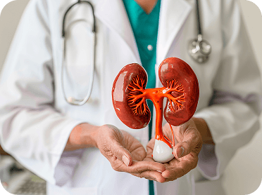 Kidney Transplant